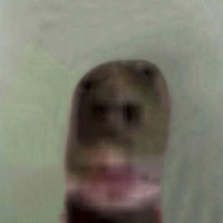 Аватар Telegram-канала ШАБЛОНЫ ДЛЯ МЕМОВ ТИКТОК