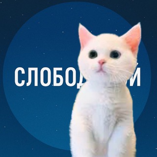 Аватар Слободской | Новости | Кировская область
