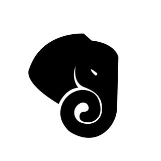 Аватар Telegram-канала SLON — магазин кроссовок