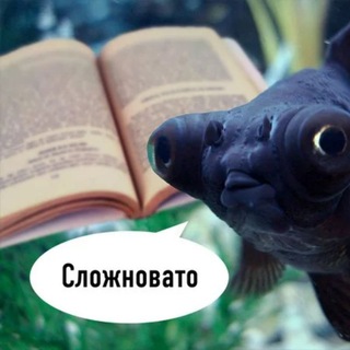 Аватар архитектор мемов