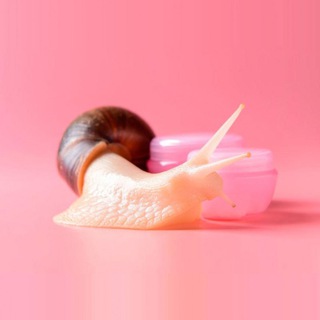 Аватар Telegram-канала УЛИТКИ И ЭЛИТКИ