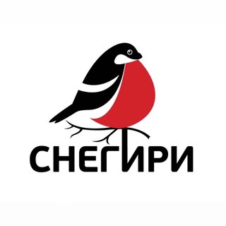 Аватар Telegram-канала СНЕГИРИ валяние игрушек