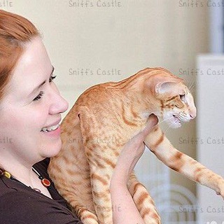 Аватар Telegram-канала Sniff’s Castle — ориенталы