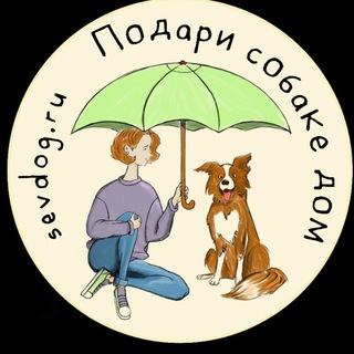 Аватар Sobaka.Sev ПОМОЩЬ ЖИВОТНЫМ СЕВАСТОПОЛЬ