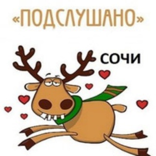 Аватар Telegram-канала Подслушано Сочи
