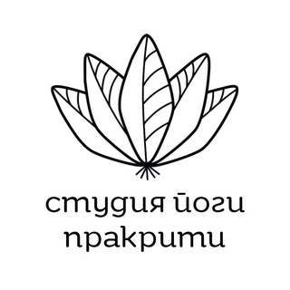 Аватар Студия йоги Пракрити