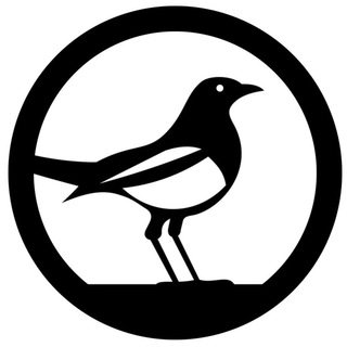 Аватар Telegram-канала СОРОКА — Новости Ярославля и все подряд