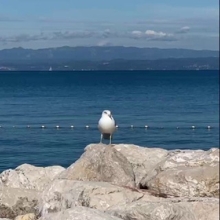 Аватар Telegram-канала Со средой | Культура-блог