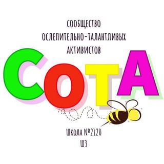 Аватар Telegram-канала СОТА Ш3 Школа №2120