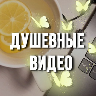 Аватар Telegram-канала Душевные видео 🦋 Видео для сторис | Reels | Фоны