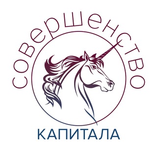 Аватар Совершенство Капитала — инвестиционный брокер.