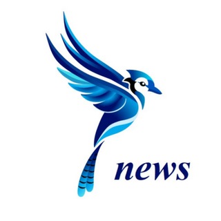 Аватар Telegram-канала SoykaSoft | оцифровка бизнеса для селлеров 🐦