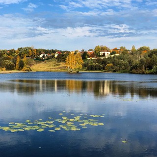 Аватар Спасем Синичку
