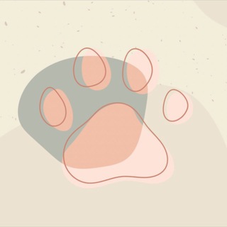 Аватар Telegram-канала Кинологический квест 21.10.2023