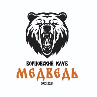 Аватар Telegram-канала Спортивный клуб «Медведь»