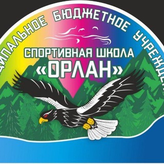 Аватар Спортивная школа «Орлан»