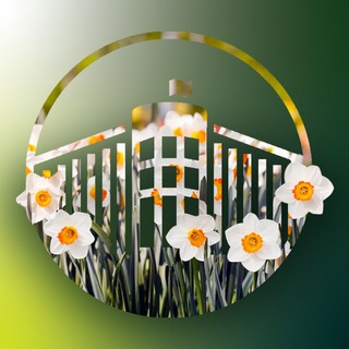 Аватар Telegram-канала СПбГУПТД | NEWS