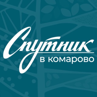 Аватар Реабилитация. Спутник в Комарово