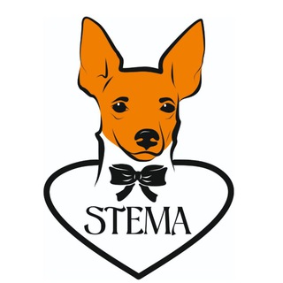 Аватар Telegram-канала STEMA | Одежда для маленьких собак