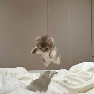 Аватар Telegram-канала сумасшедший гороскопчик