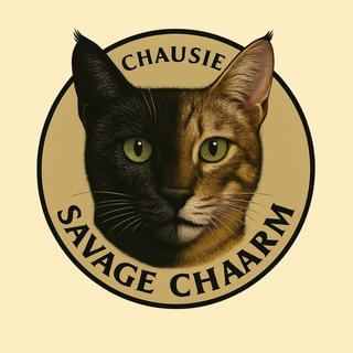 Аватар Telegram-канала Savage Charm — Питомник кошек чаузи