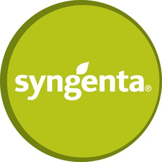 Аватар Telegram-канала Сингента — семена овощных культур