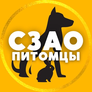 Аватар Telegram-канала Питомцы | СЗАО • Собаки • Митино