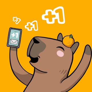 Аватар Telegram-канала НОВОСТИ ХЭШТЕГОВ 🍊