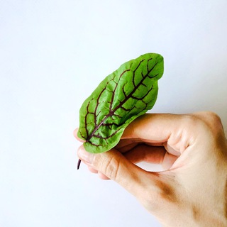 Аватар Ira S., нутрициолог | здоровая еда, SW