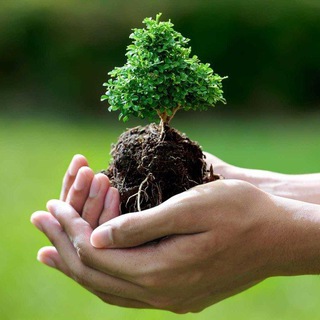 Аватар Дневник цветовода 🌸 про комнатные и садовые растения