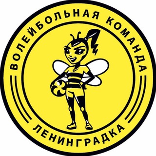 Аватар Волейбольная команда «Ленинградка»