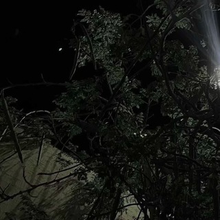 Аватар Telegram-канала Темы для айфона