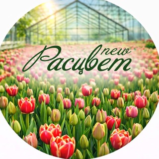 Аватар Тепличное хозяйство Расцвет