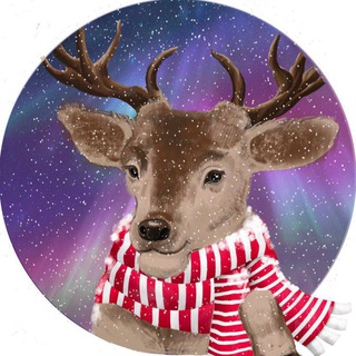 Аватар Telegram-канала Териберка Подслушано