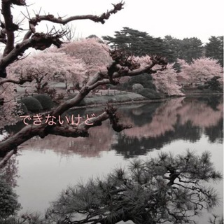 Аватар Telegram-канала Темы на айфон🤍