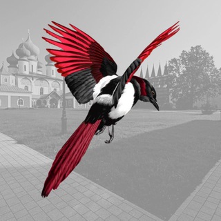 Аватар Telegram-канала Тихвинская сорока 🎄