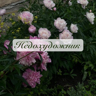 Аватар Telegram-канала Недохудожник