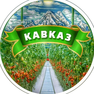 Аватар Тепличный комплекс «Кавказ» 🍅