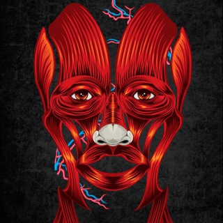 Аватар TON🚀Дропы|Темки|Раздачи