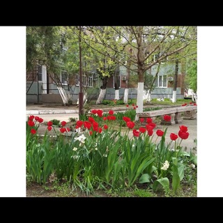 Аватар Telegram-канала Детский санаторий «Тополек»