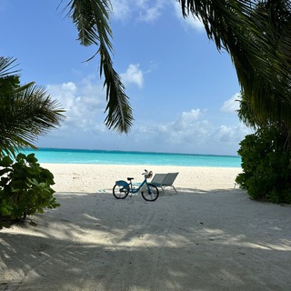 Аватар Путешествуй выгодно!