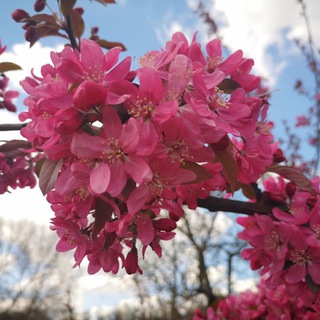 Аватар Telegram-канала Trips Guru — гид в Праге, экскурсии по Европе, отдых на море