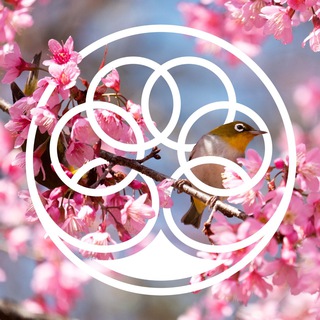 Аватар Telegram-канала «Тропикана Парк», загородный комплекс