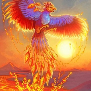 Аватар ФЕНИКС🌅Целитель Олеся Бабаева.