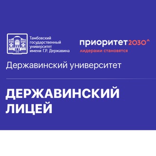 Аватар Державинский лицей Державинского университета