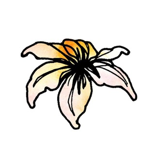 Аватар Telegram-канала Тропики