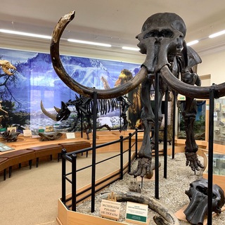 Аватар Тюмень | Музеи | Театры