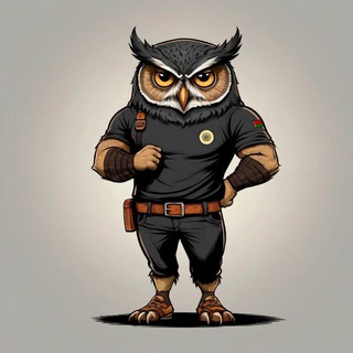 Аватар Дипломаты