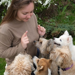 Аватар Ульяна и собаки