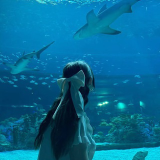 Аватар Telegram-канала я хочу жить в аквариуме